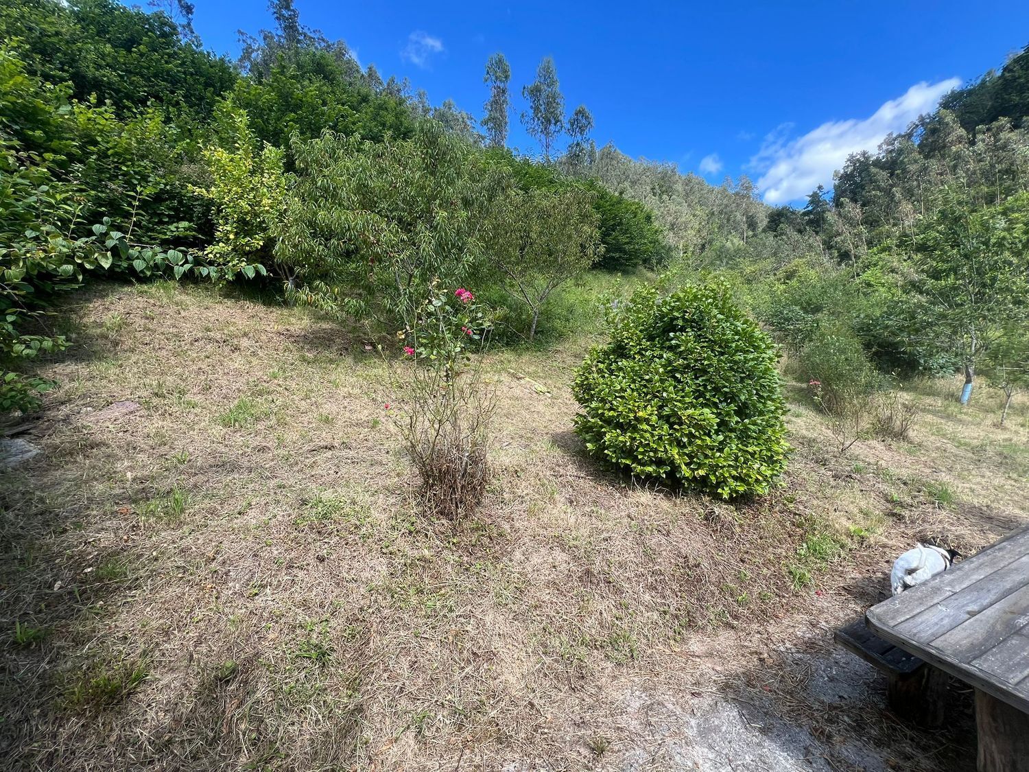 Casas o chalets-Venta-Colunga-1751780-Foto-72