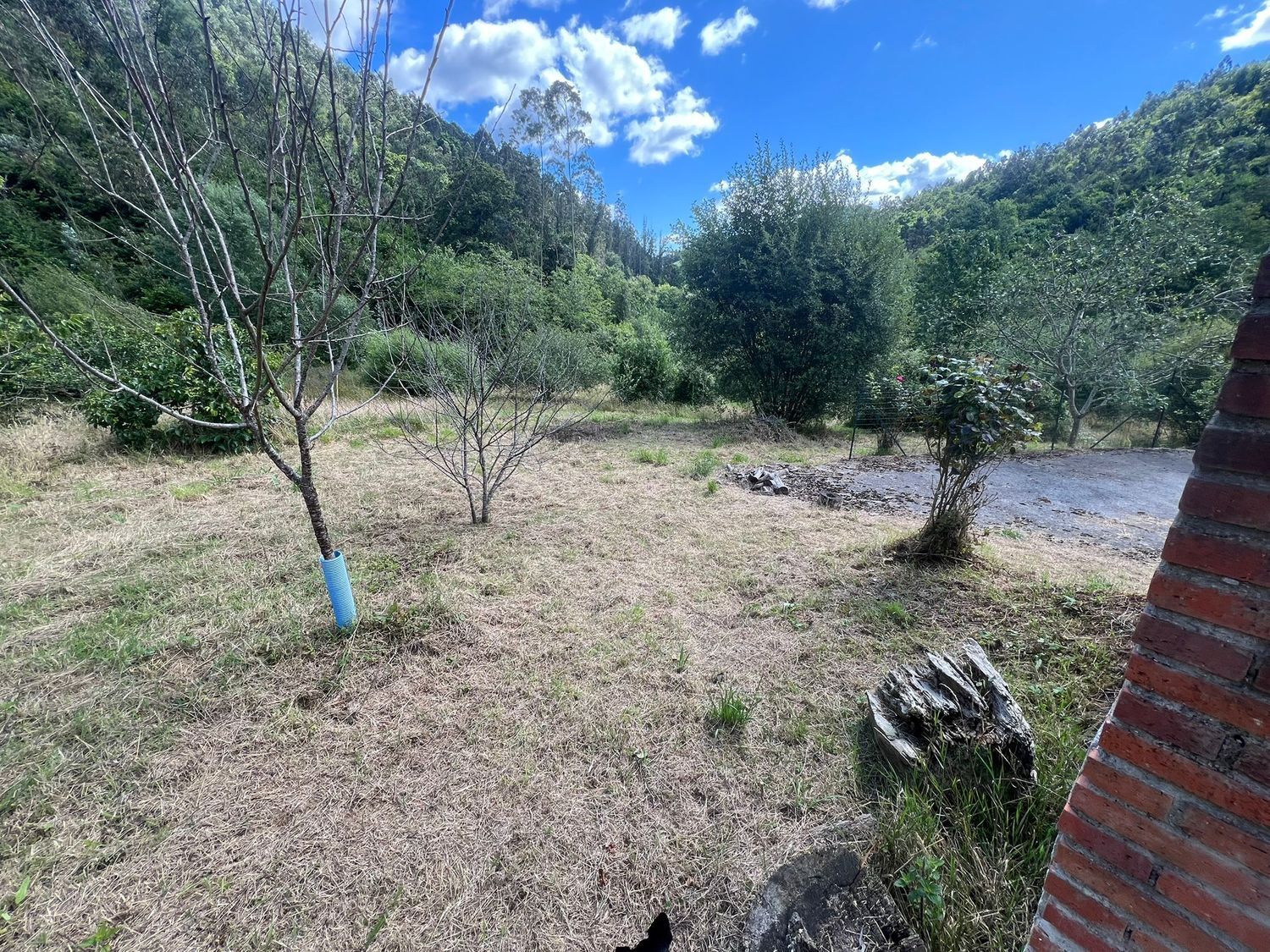 Casas o chalets-Venta-Colunga-1751780-Foto-75