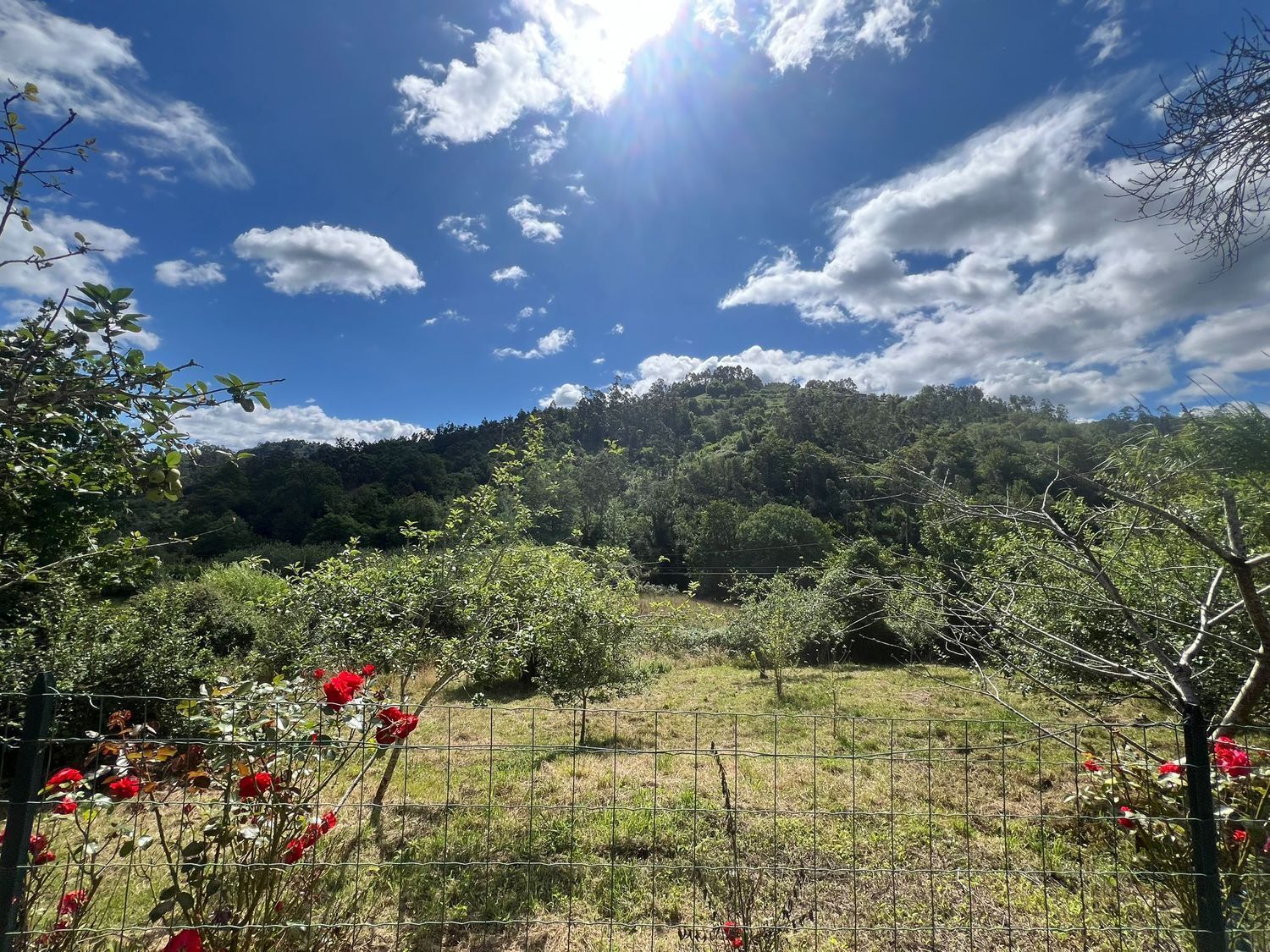 Casas o chalets-Venta-Colunga-1751780-Foto-78