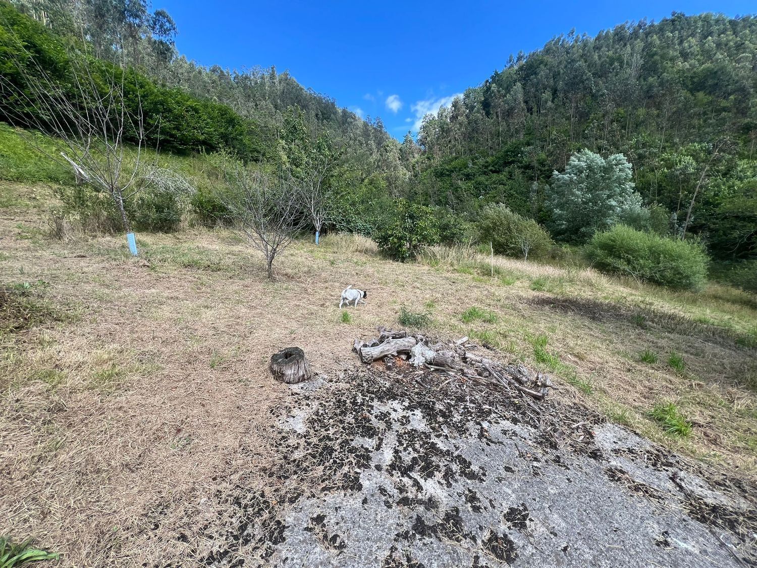 Casas o chalets-Venta-Colunga-1751780-Foto-76
