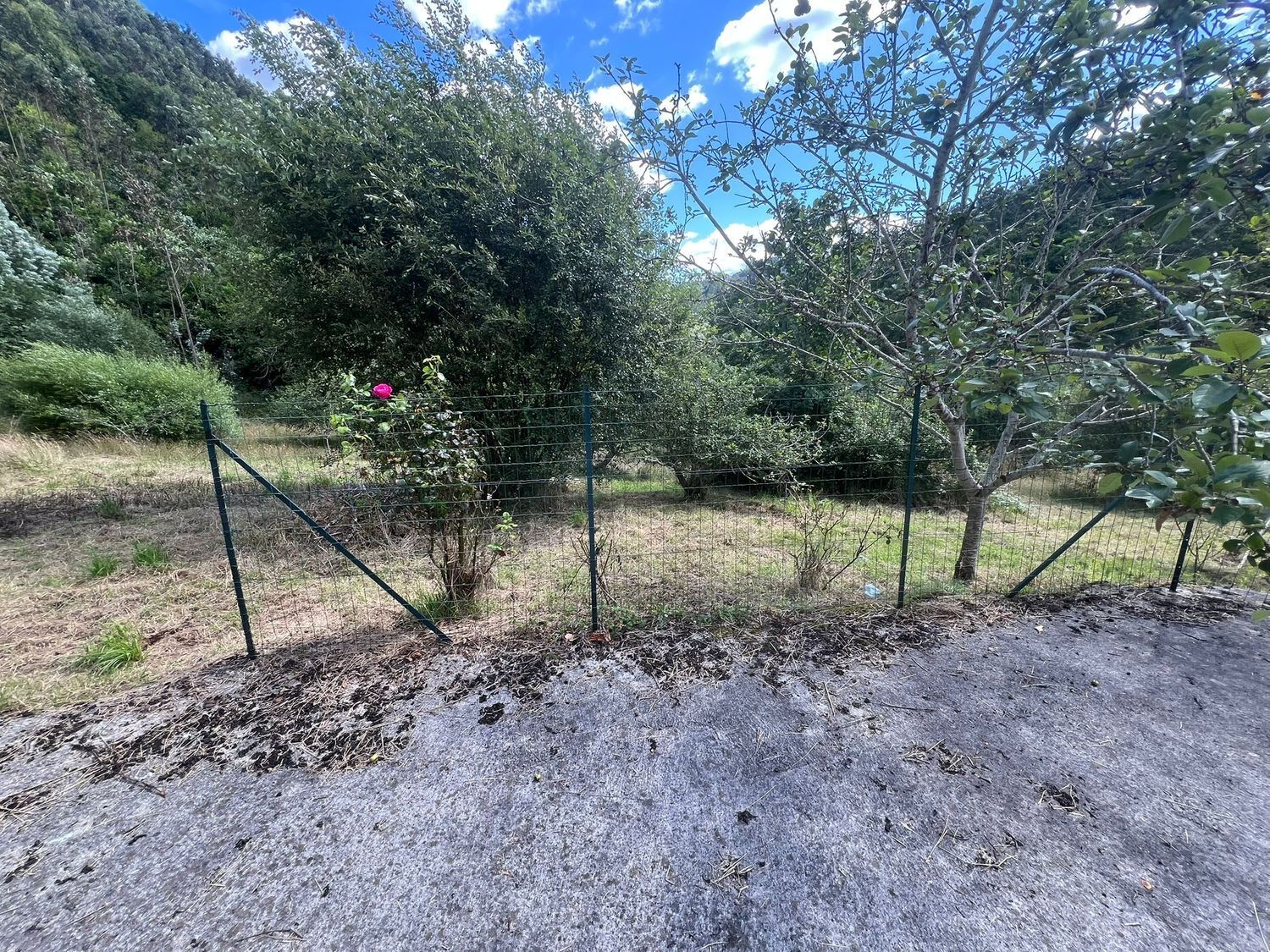 Casas o chalets-Venta-Colunga-1751780-Foto-77