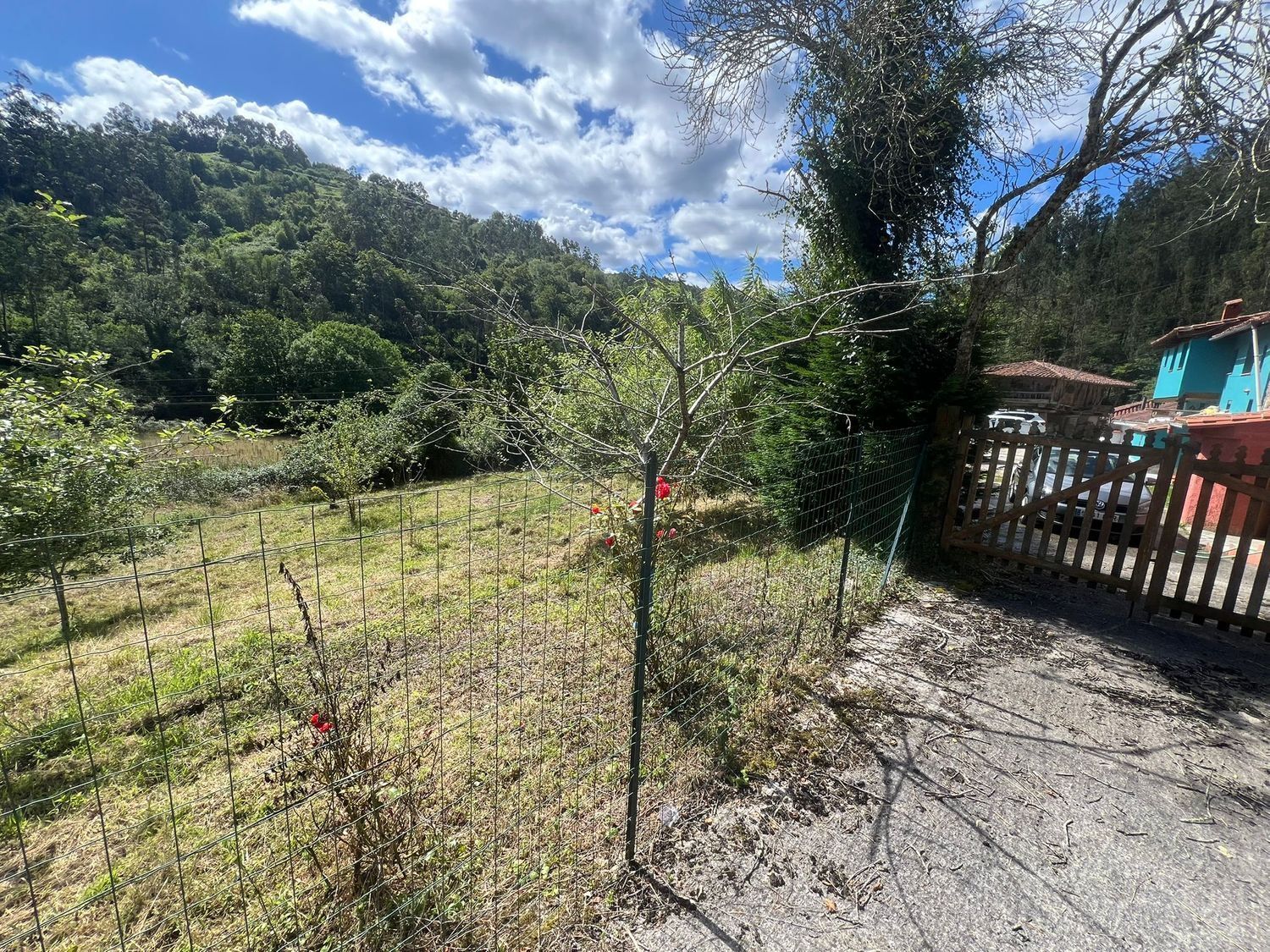 Casas o chalets-Venta-Colunga-1751780-Foto-81