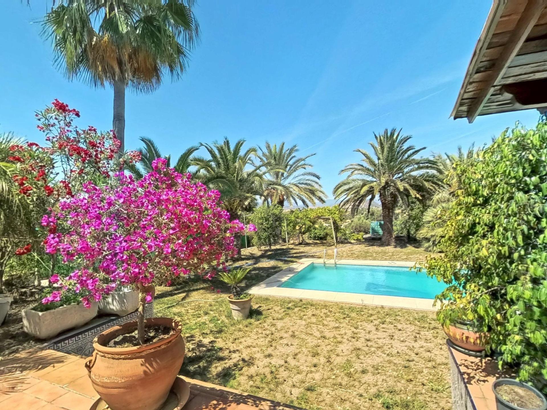 Casas o chalets-Venta-AlhaurÃ­n el Grande-1746150-Foto-2