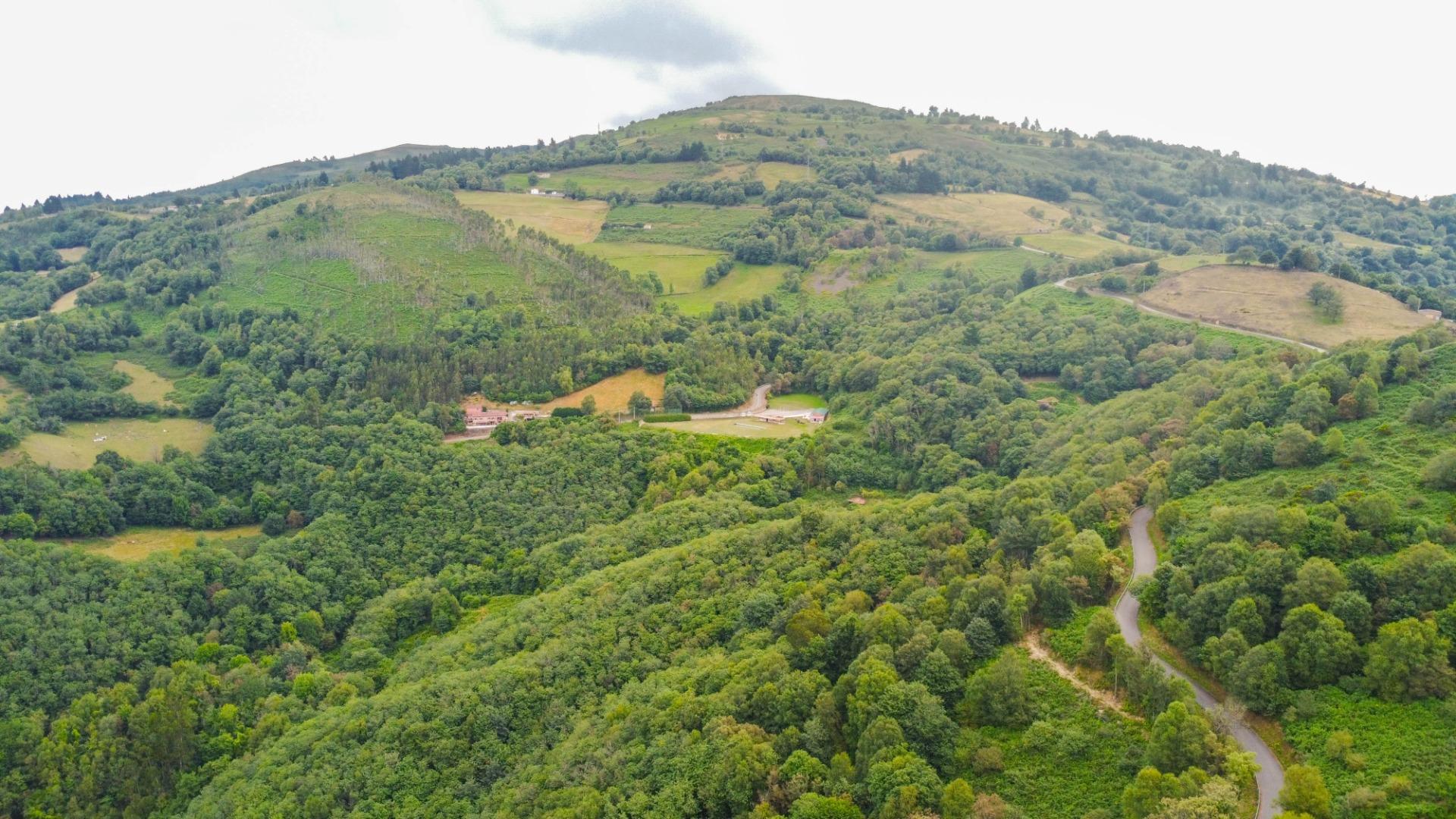Casas o chalets-Venta-Mieres-1828360-Foto-37