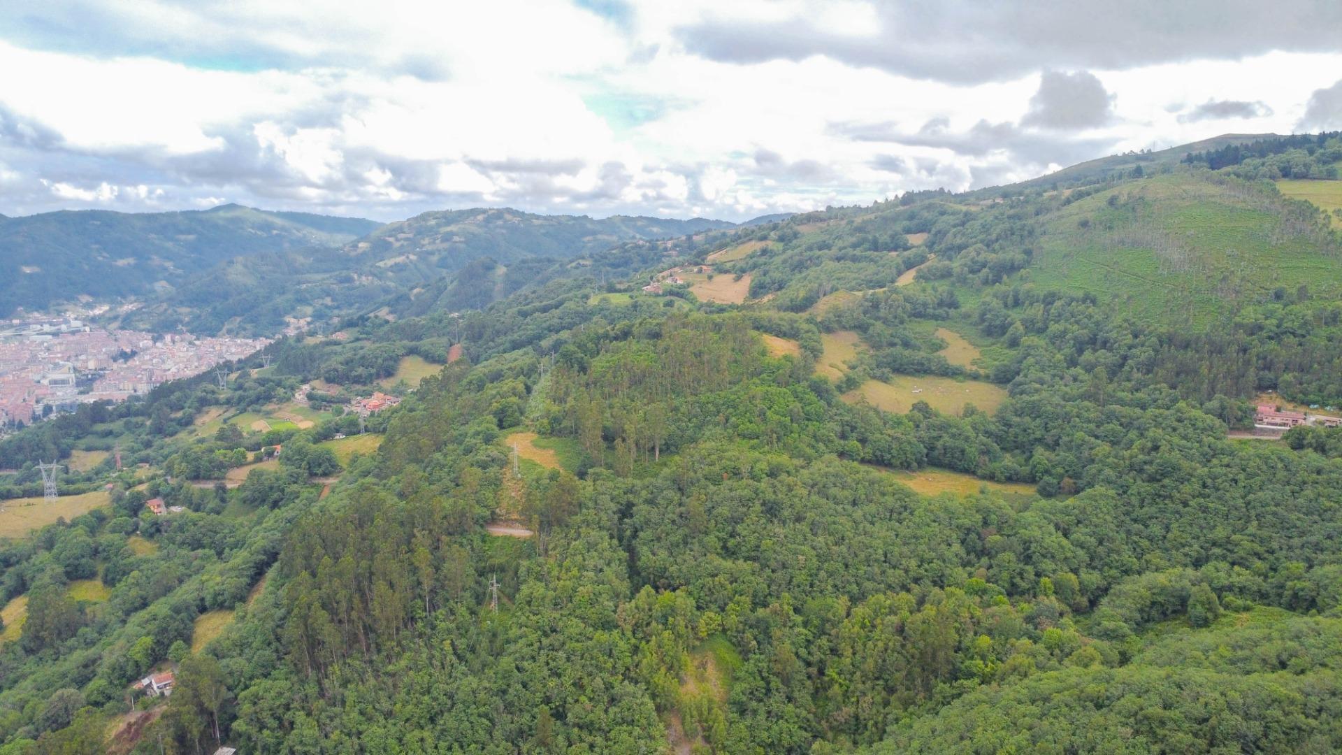 Casas o chalets-Venta-Mieres-1828360-Foto-38
