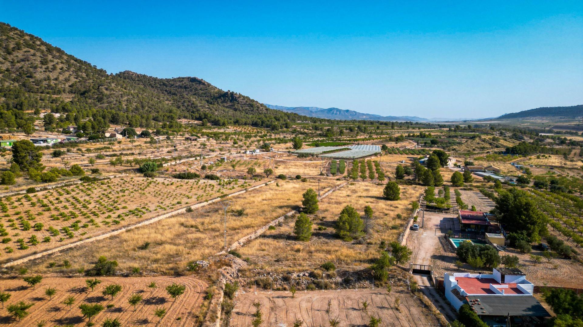 Pisos-Venta-MonÃ³var-1791231-Foto-24