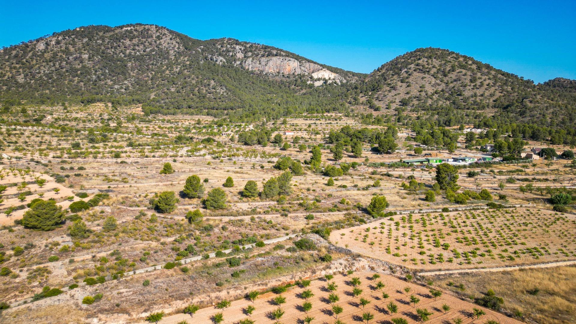 Pisos-Venta-MonÃ³var-1791231-Foto-25