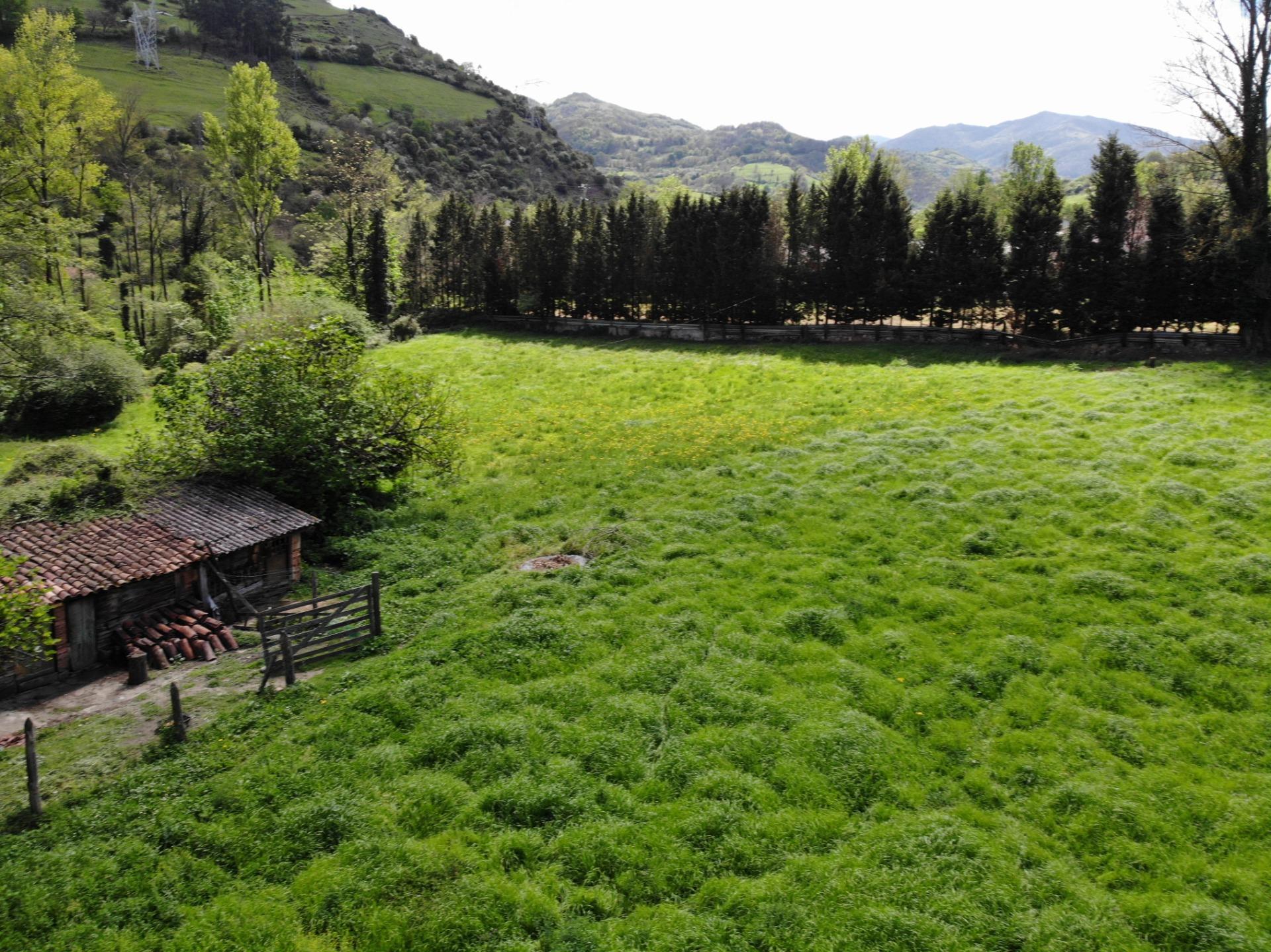 Fincas y solares-Venta-Villena-1389322