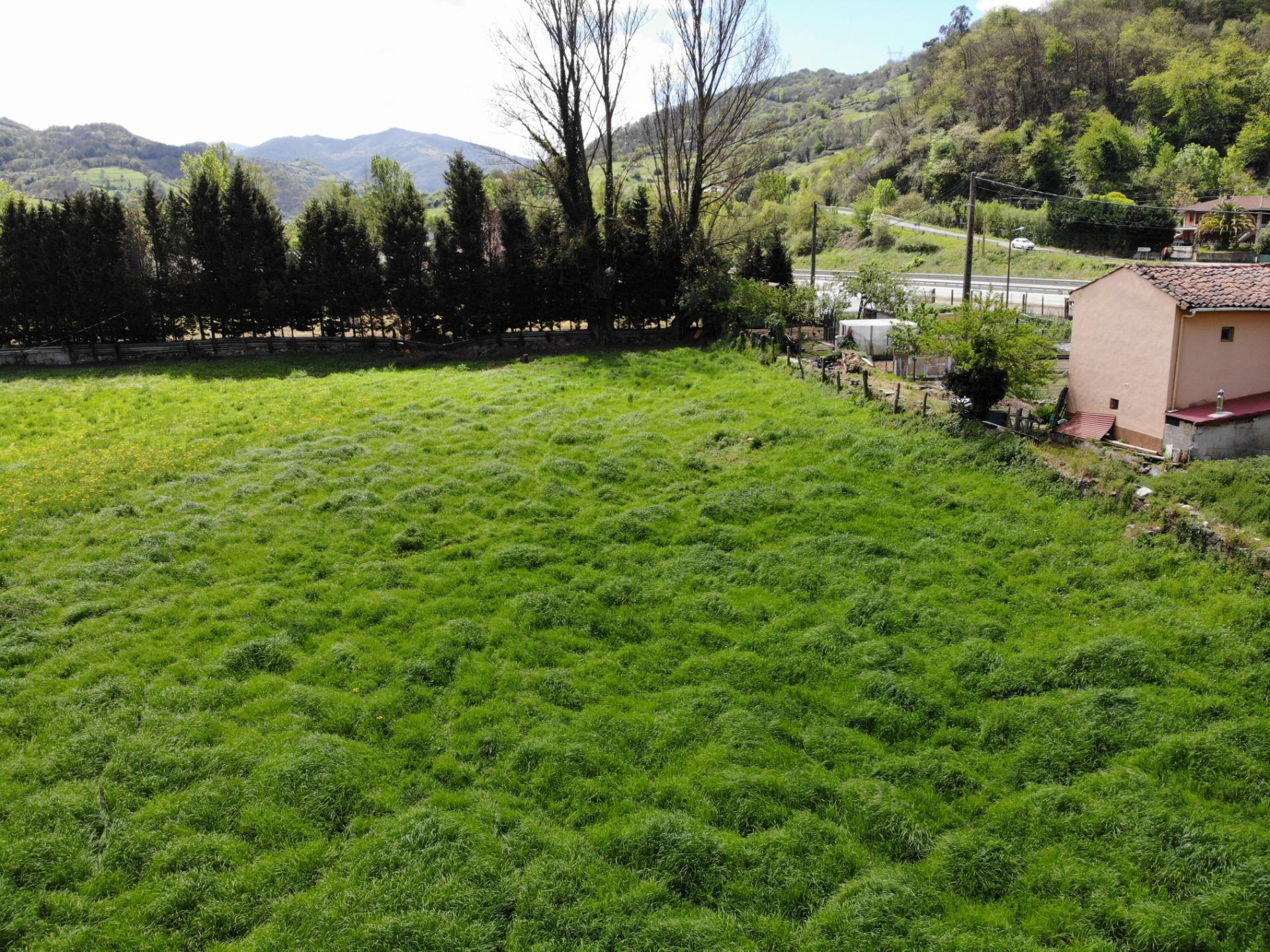 Fincas y solares-Venta-Villena-1389322-Foto-3