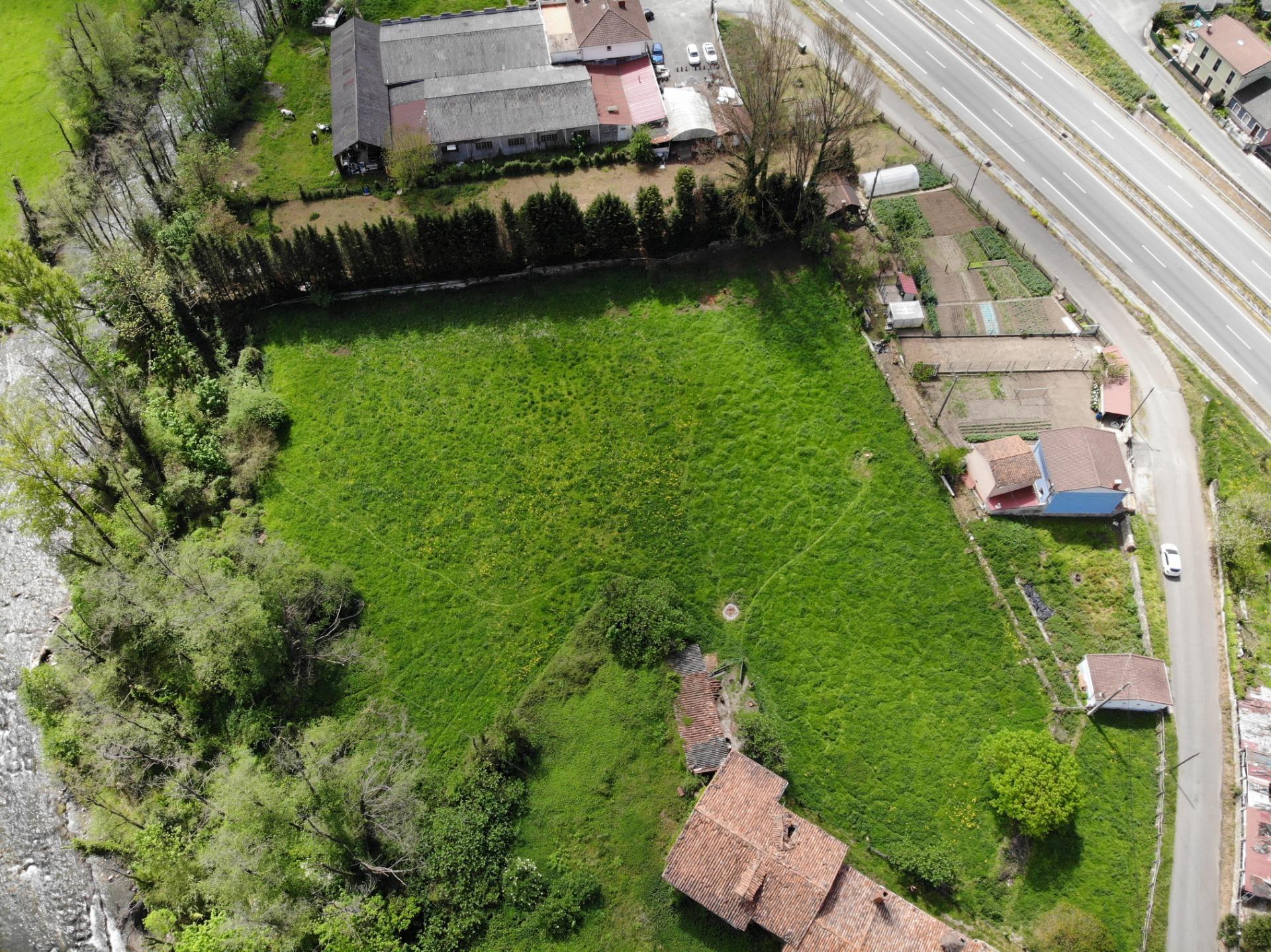 Fincas y solares-Venta-Villena-1389322-Foto-5