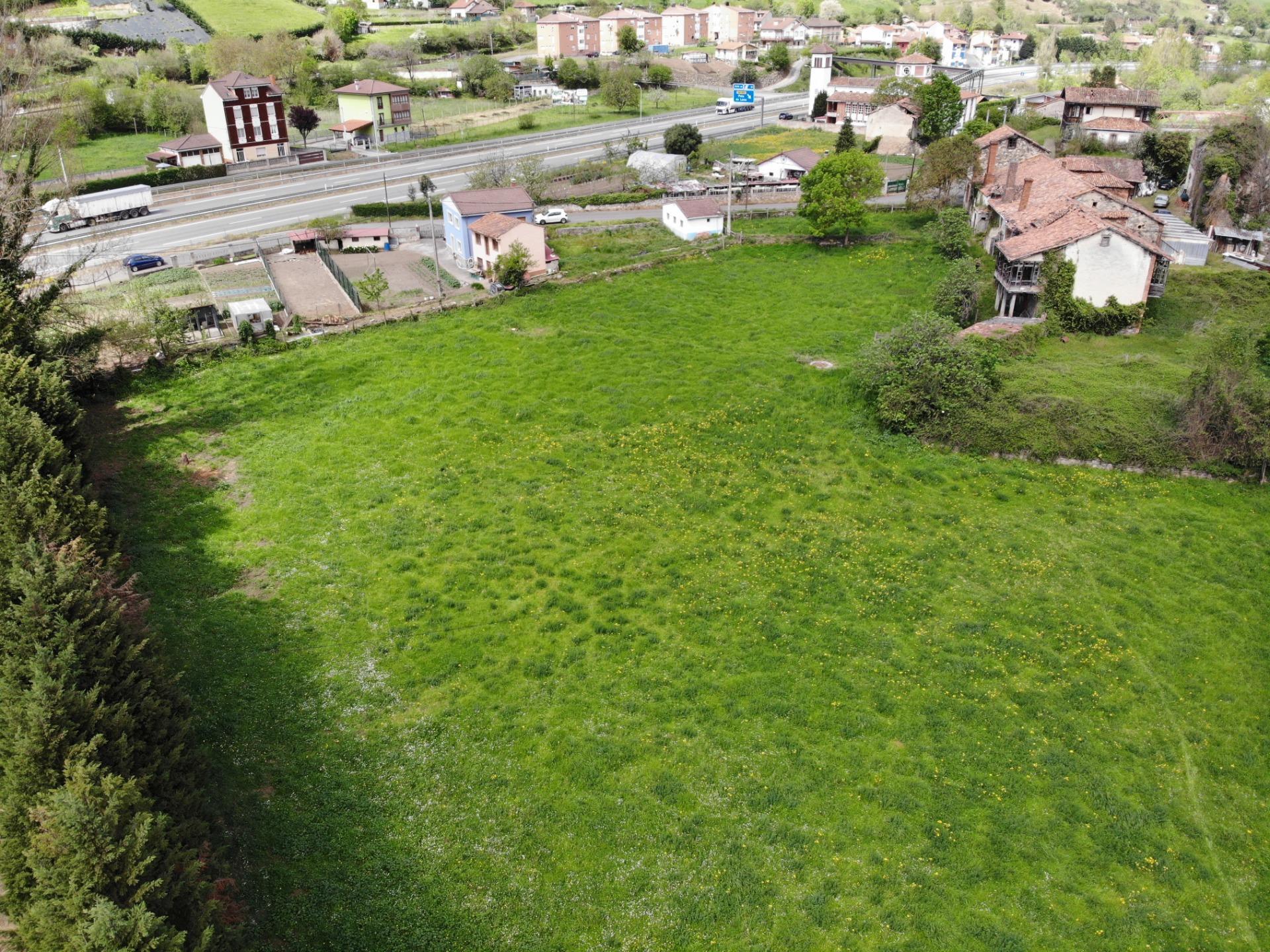 Fincas y solares-Venta-Villena-1389322-Foto-8