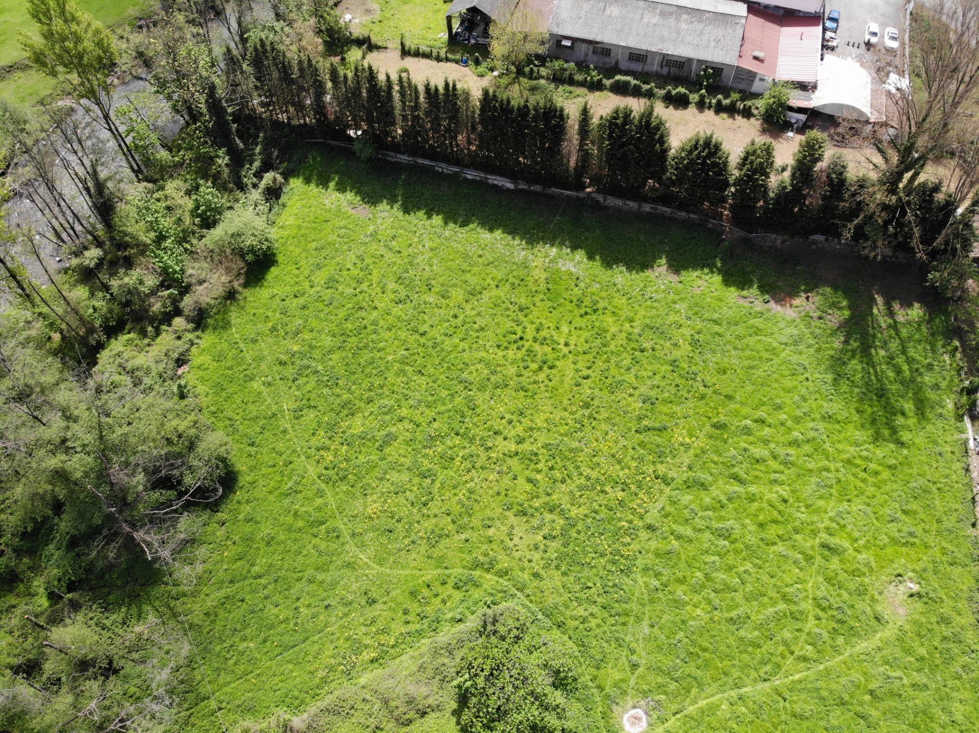 Fincas y solares-Venta-Villena-1389322-Foto-9
