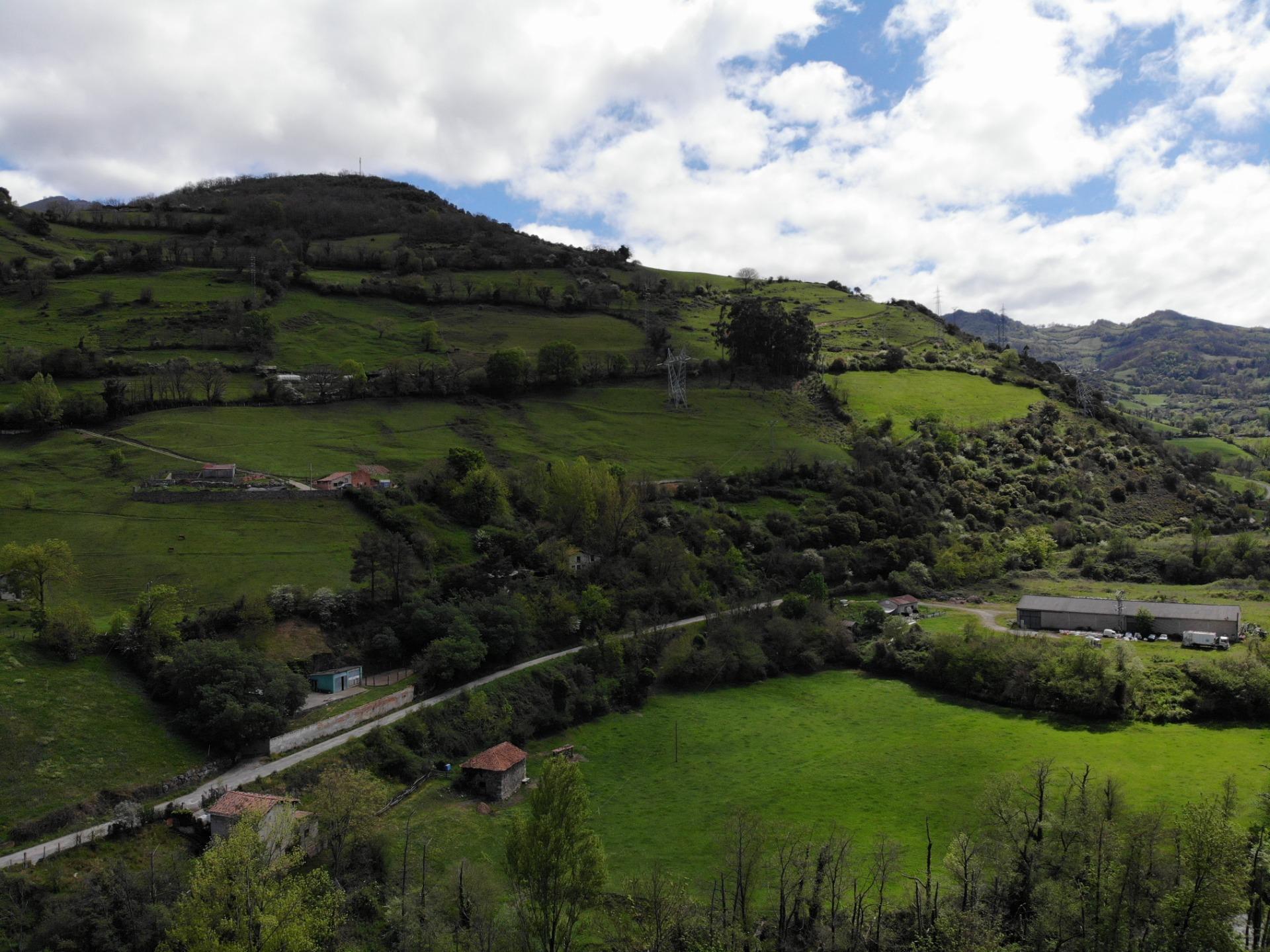 Fincas y solares-Venta-Villena-1389322-Foto-11