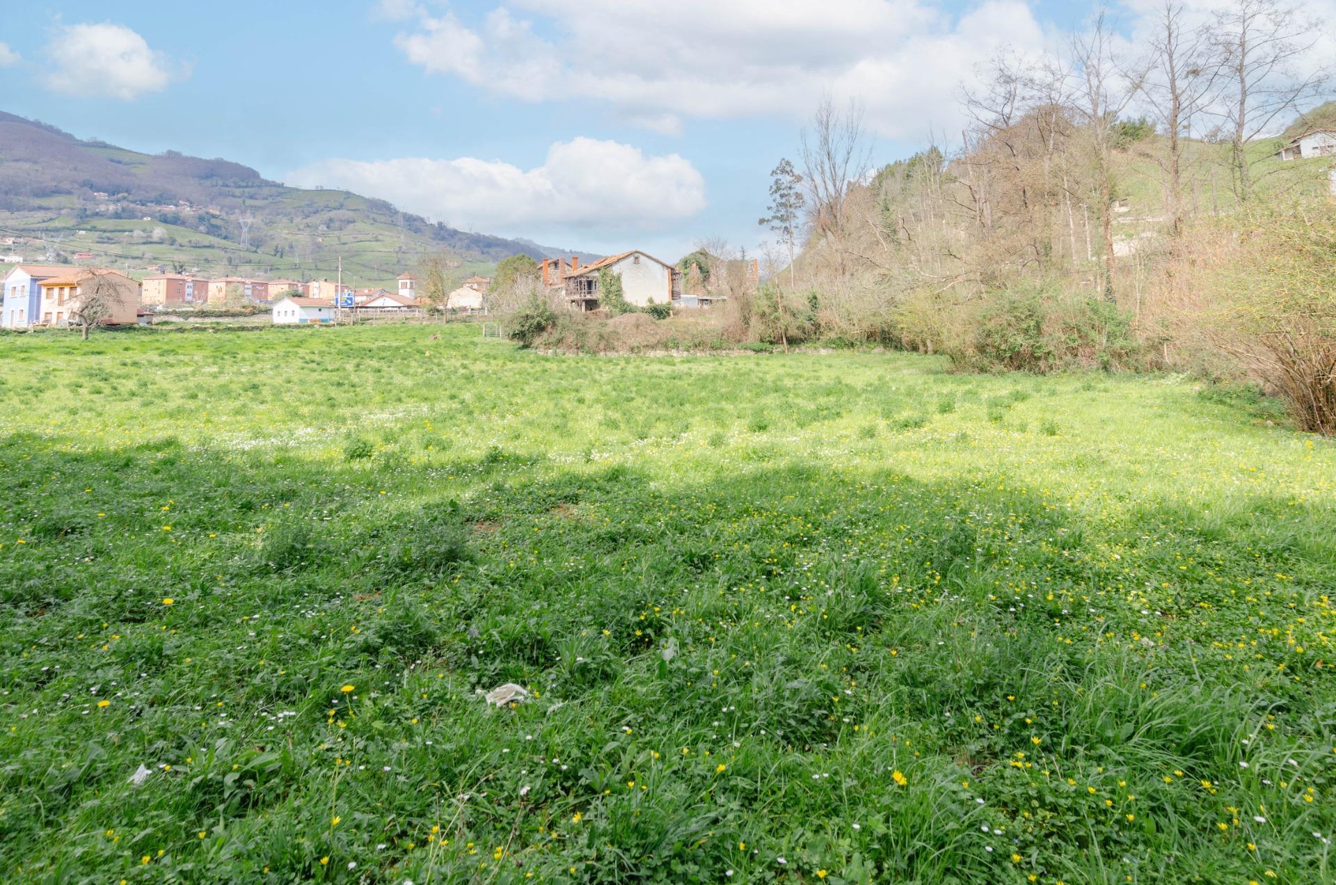 Fincas y solares-Venta-Villena-1389322-Foto-18