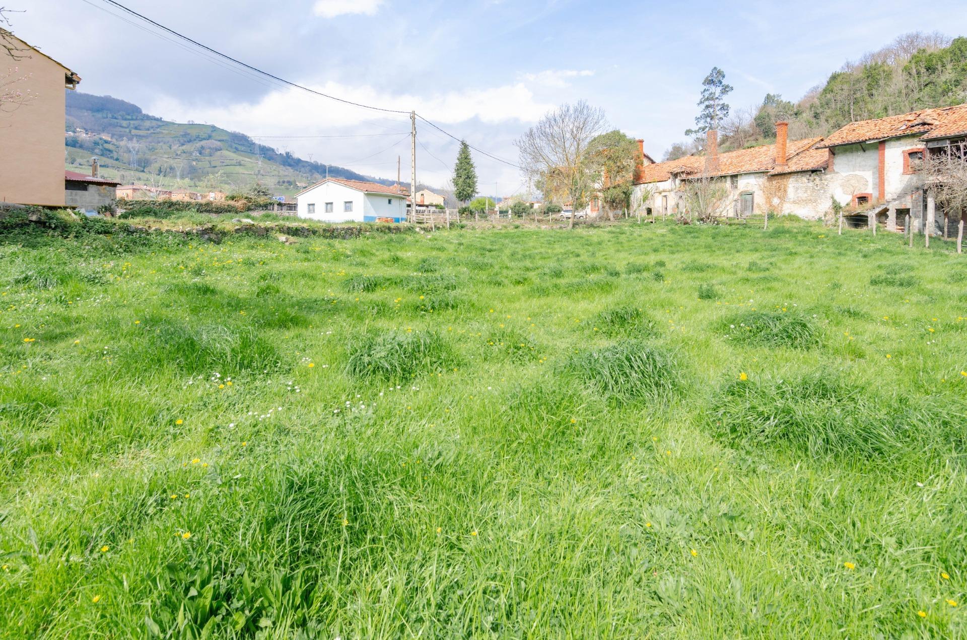Fincas y solares-Venta-Villena-1389322-Foto-19