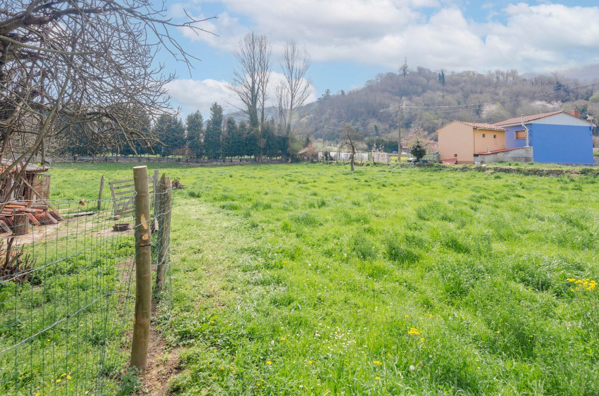 Fincas y solares-Venta-Villena-1389322-Foto-20