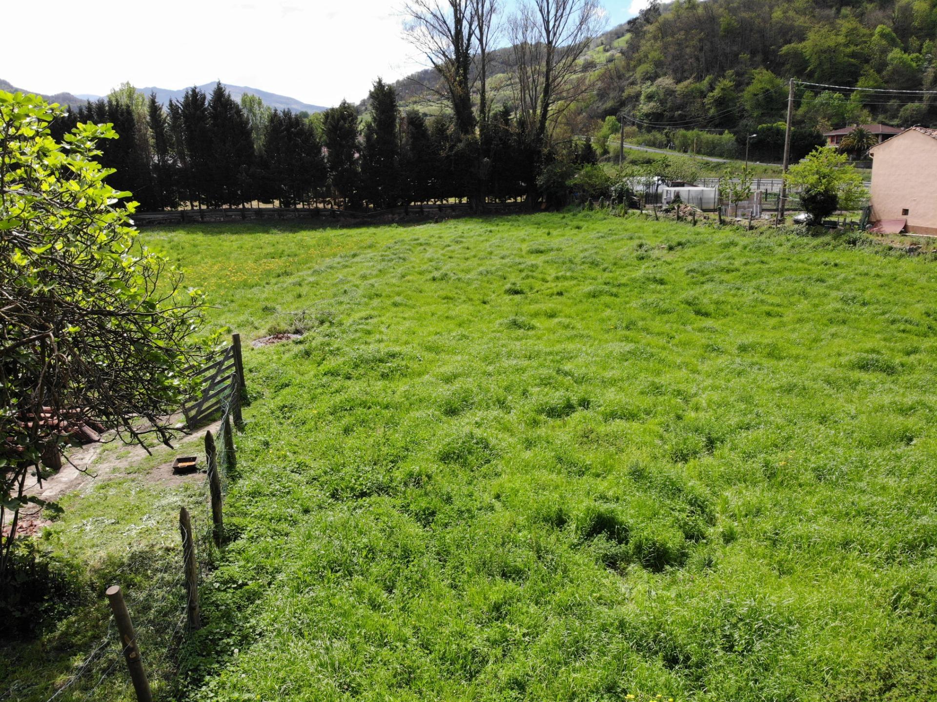 Fincas y solares-Venta-Villena-1389322-Foto-21