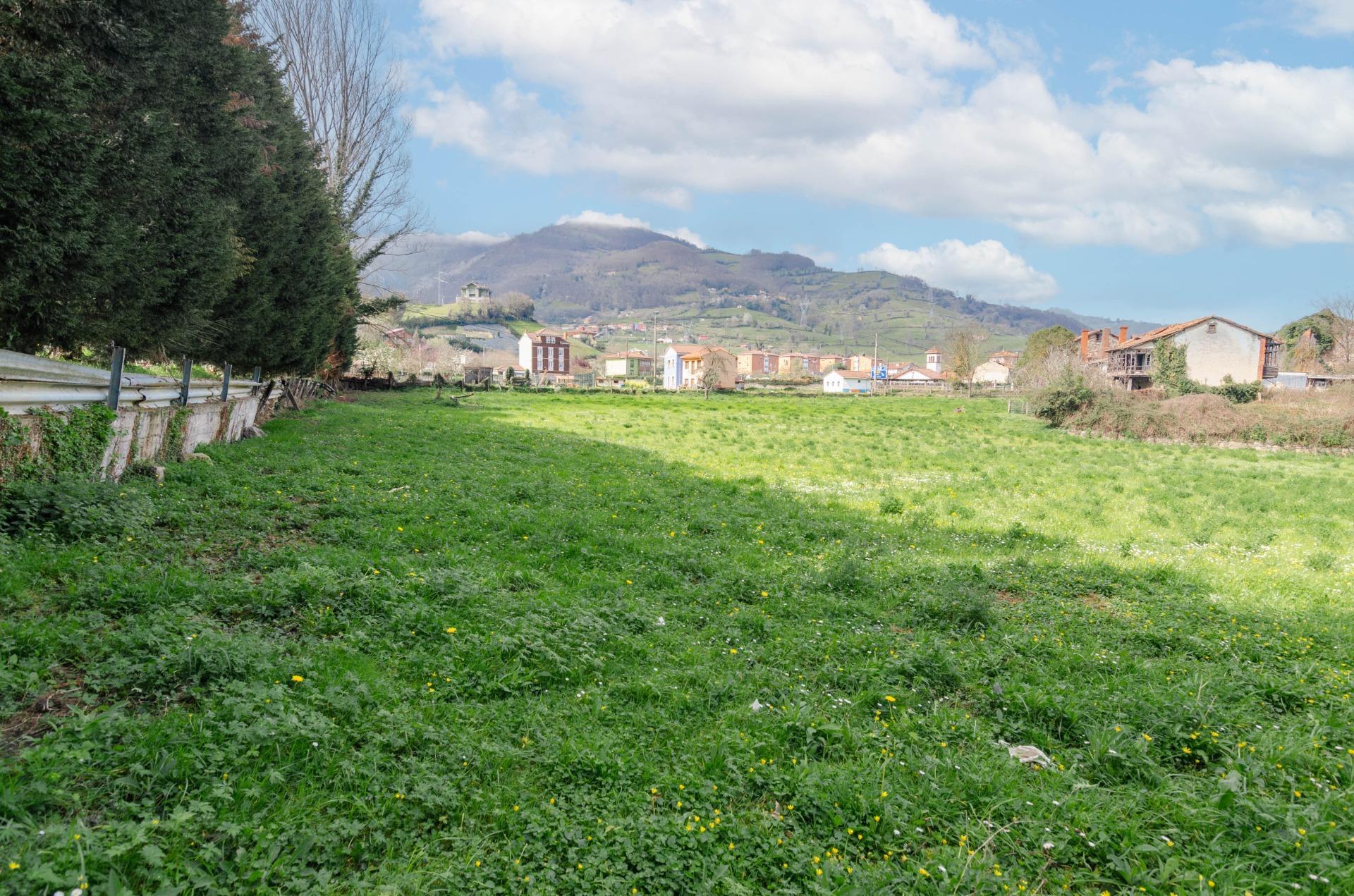 Fincas y solares-Venta-Villena-1389322-Foto-25