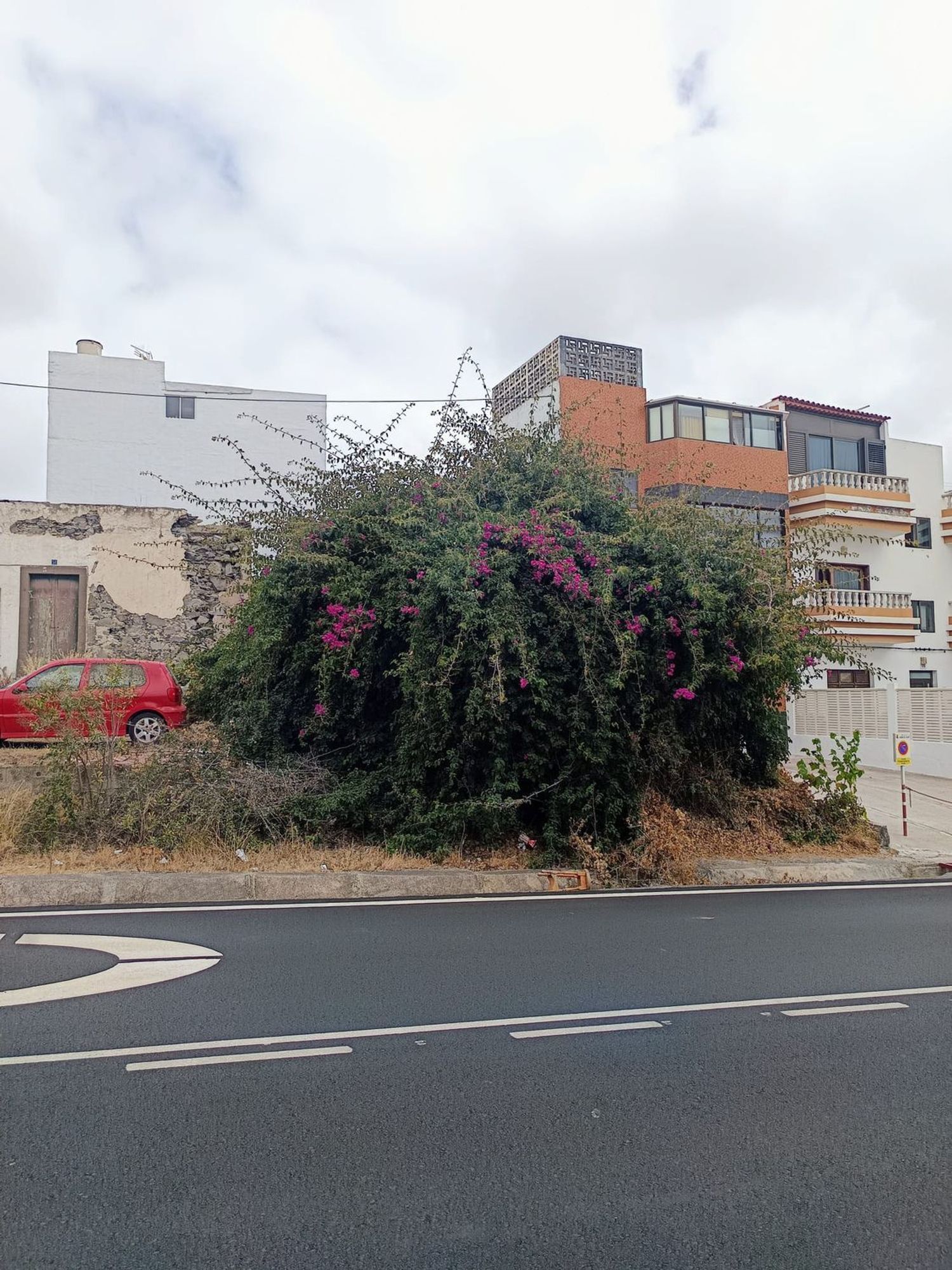 Fincas y solares-Venta-Arucas-1792196-Foto-2