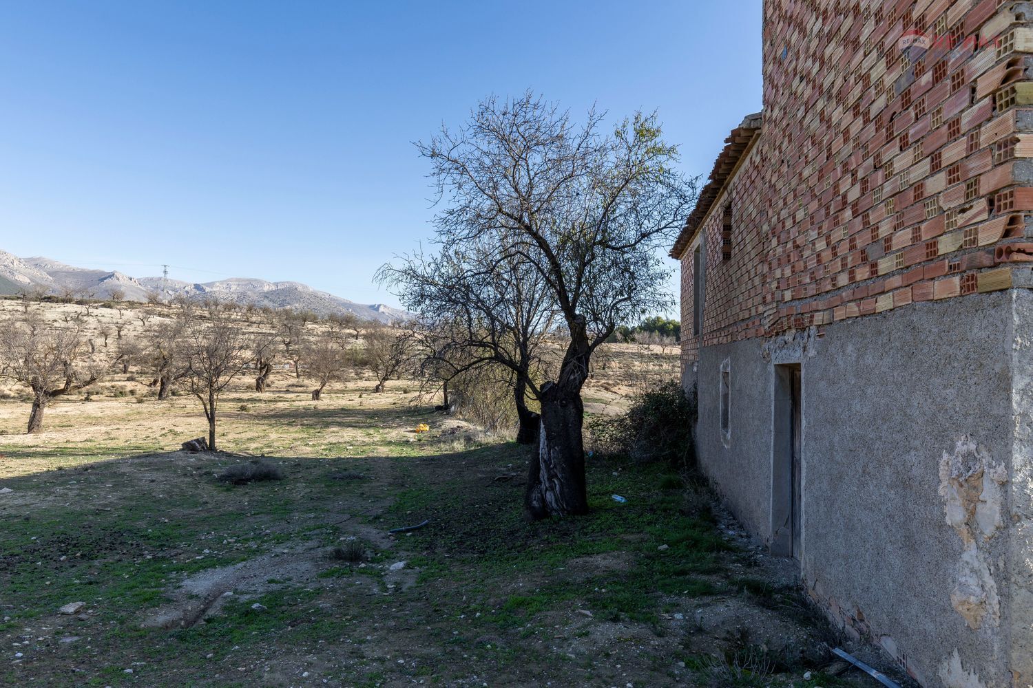 Casas o chalets-Venta-Chirivel-1501654-Foto-9