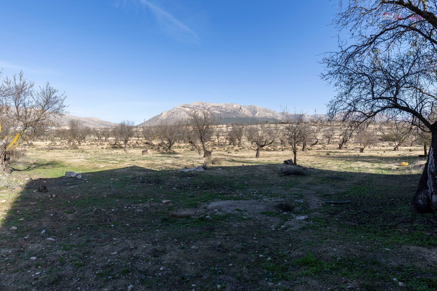 Casas o chalets-Venta-Chirivel-1501654-Foto-12
