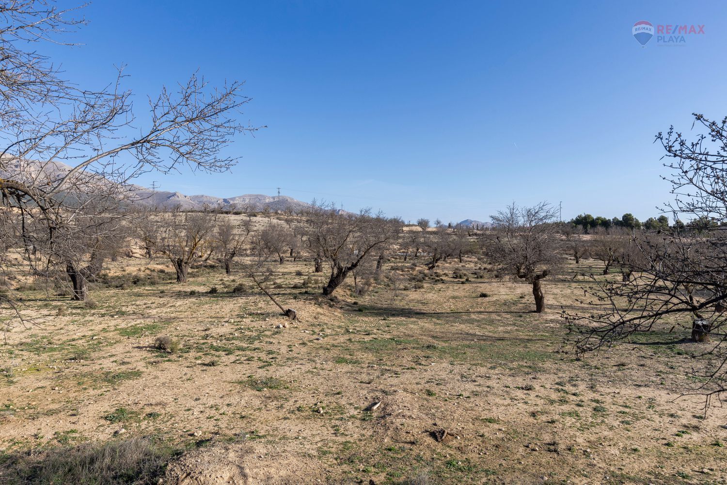 Casas o chalets-Venta-Chirivel-1501654-Foto-14