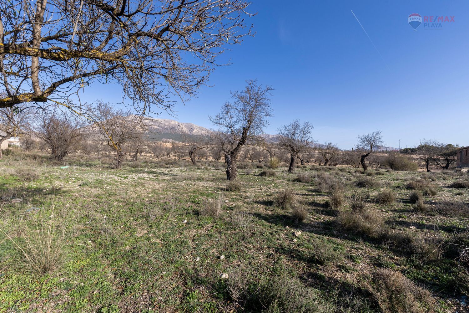 Casas o chalets-Venta-Chirivel-1501654-Foto-17