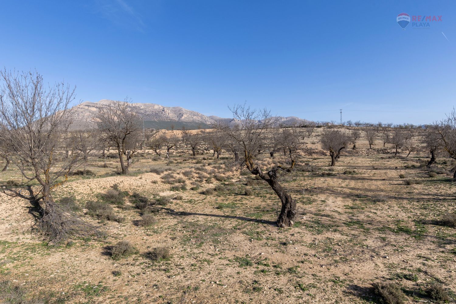 Casas o chalets-Venta-Chirivel-1501654-Foto-16