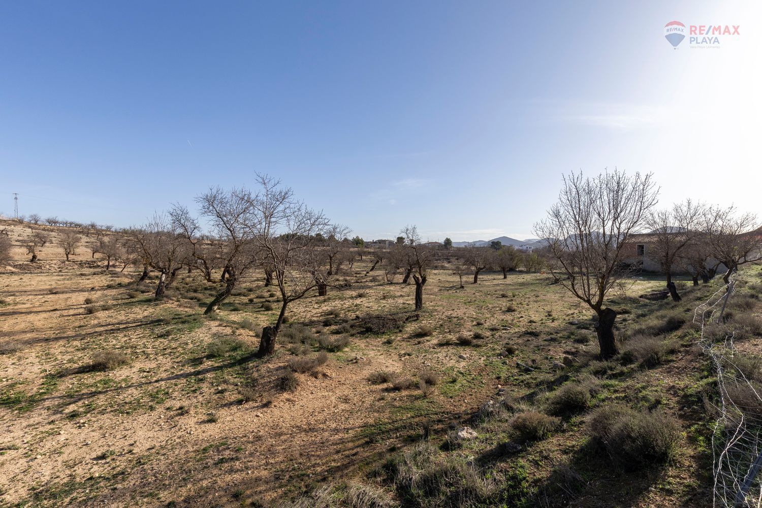 Casas o chalets-Venta-Chirivel-1501654-Foto-15