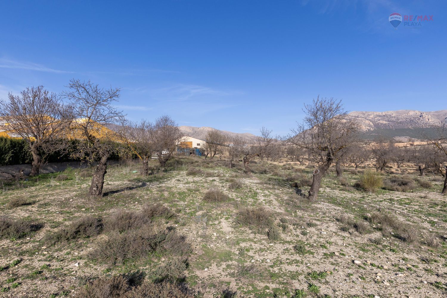 Casas o chalets-Venta-Chirivel-1501654-Foto-19