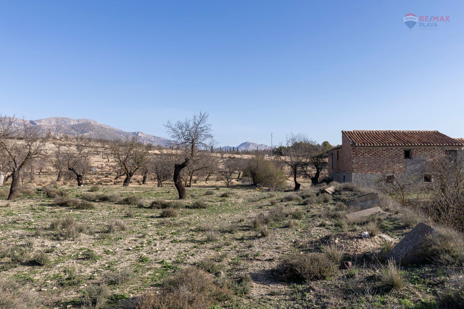 Casas o chalets-Venta-Chirivel-1501654-Foto-18
