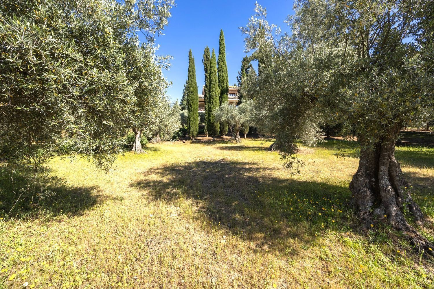 Casas o chalets-Venta-Toledo-1744111-Foto-31