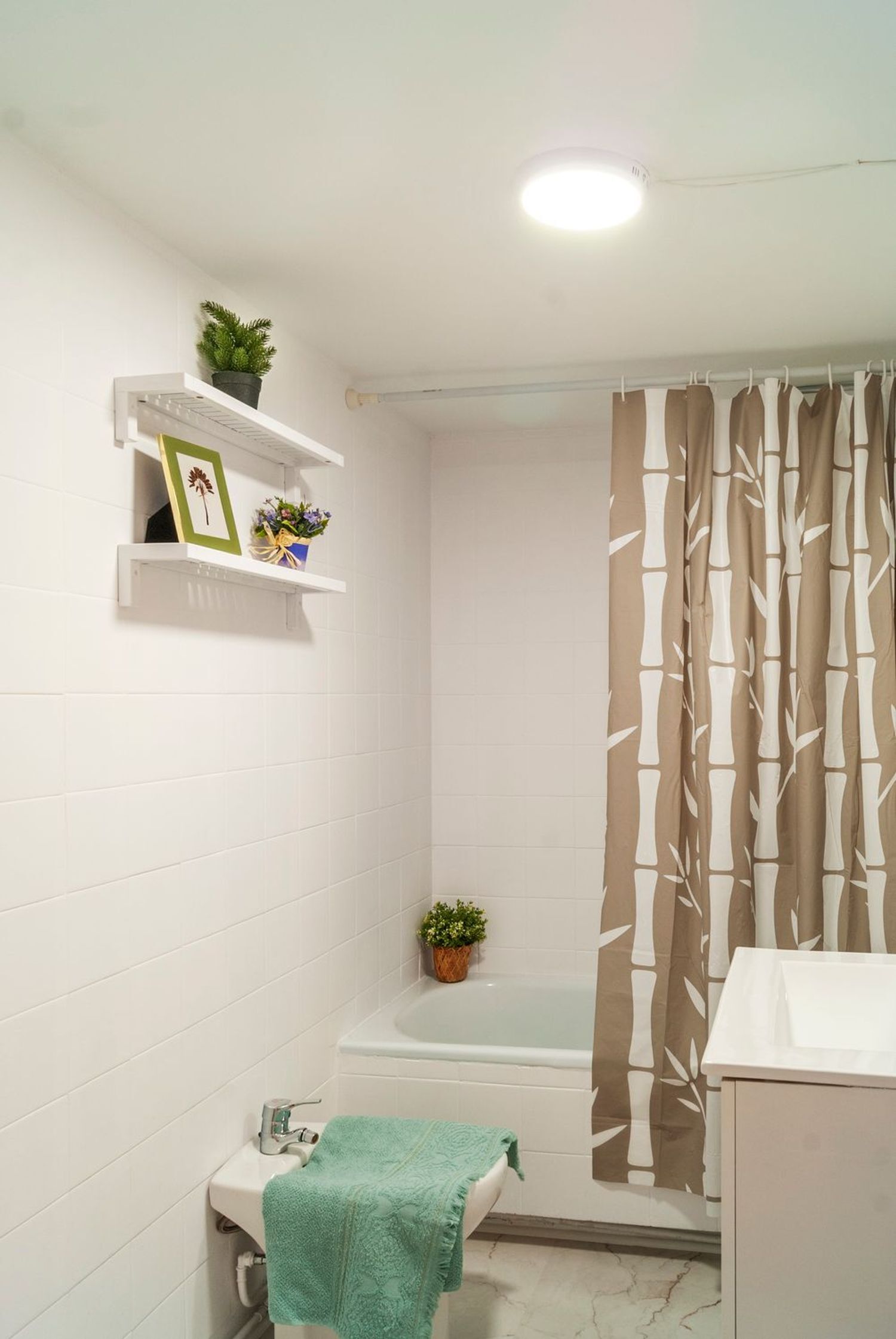 Pisos-Alquiler-Madrid-1828712-Foto-12