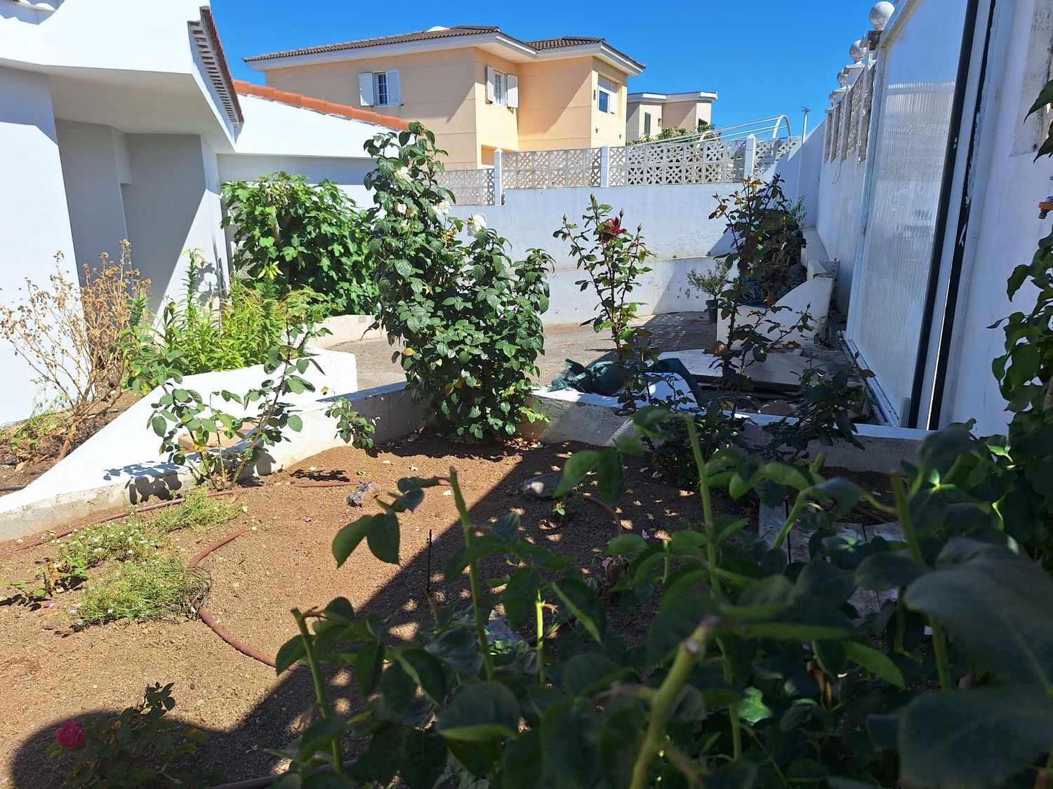 Casas o chalets-Alquiler-Santa BrÃ­gida-1767066-Foto-2