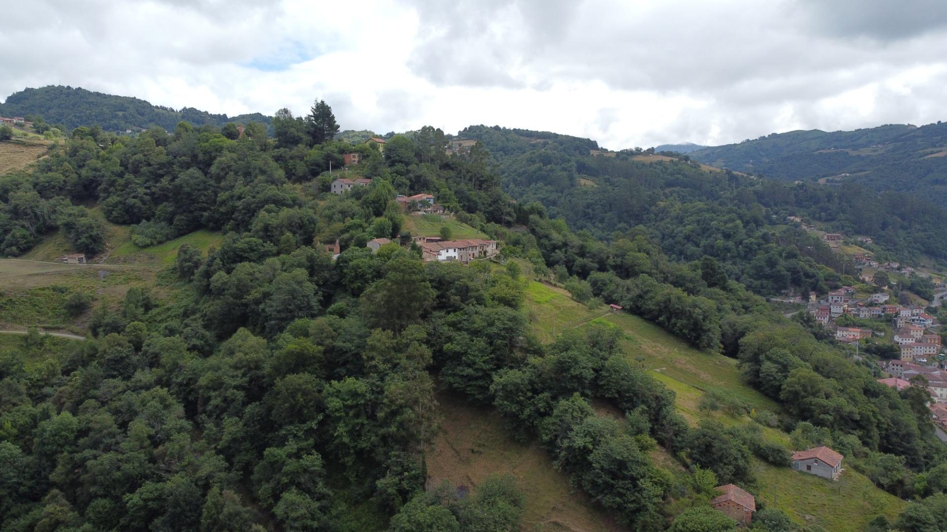 Pisos-Venta-San MartÃ­n del Rey Aurelio-1828727-Foto-41