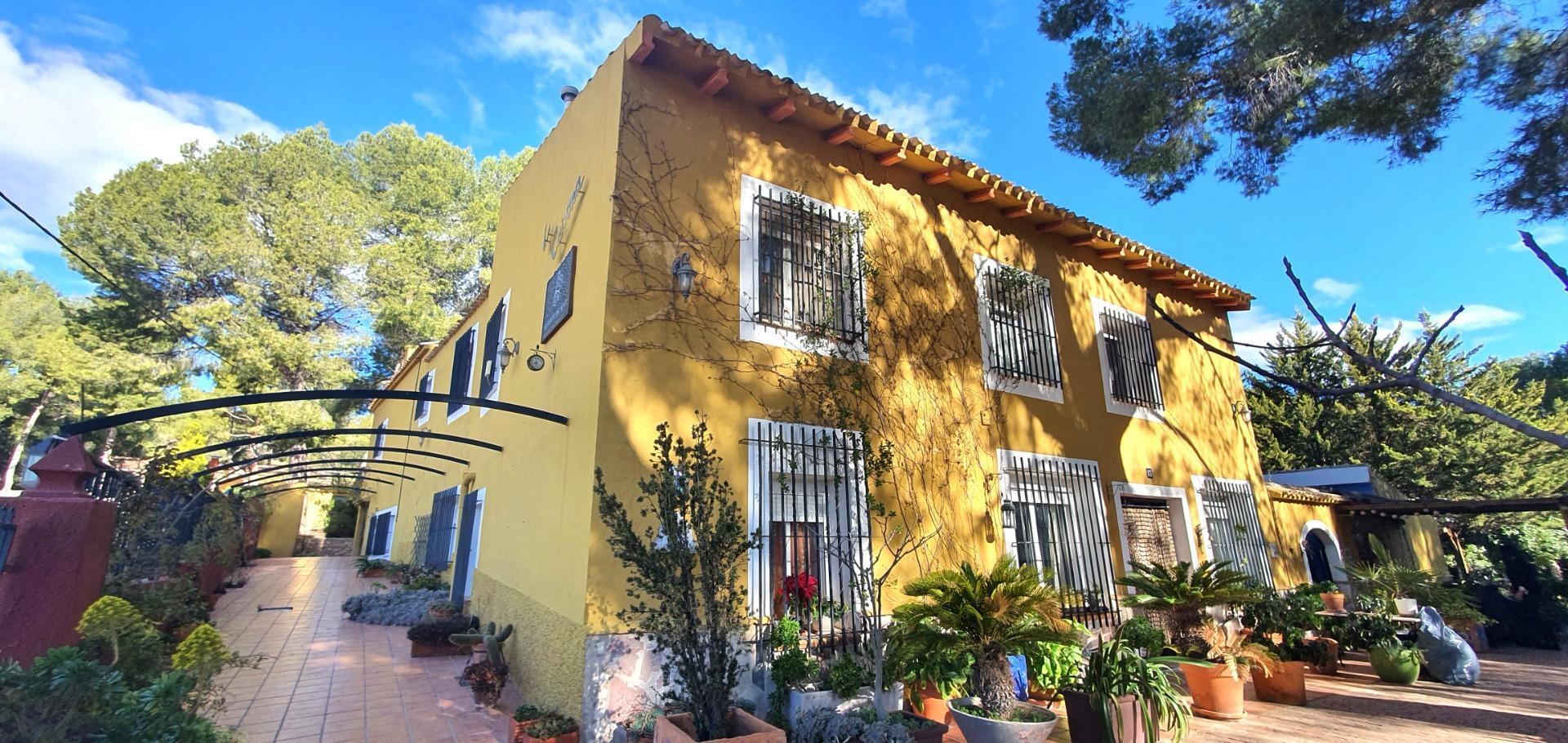 Edificios-Venta-Petrer-1720266-Foto-7