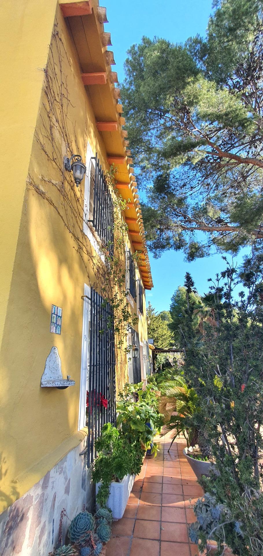 Edificios-Venta-Petrer-1720266-Foto-10