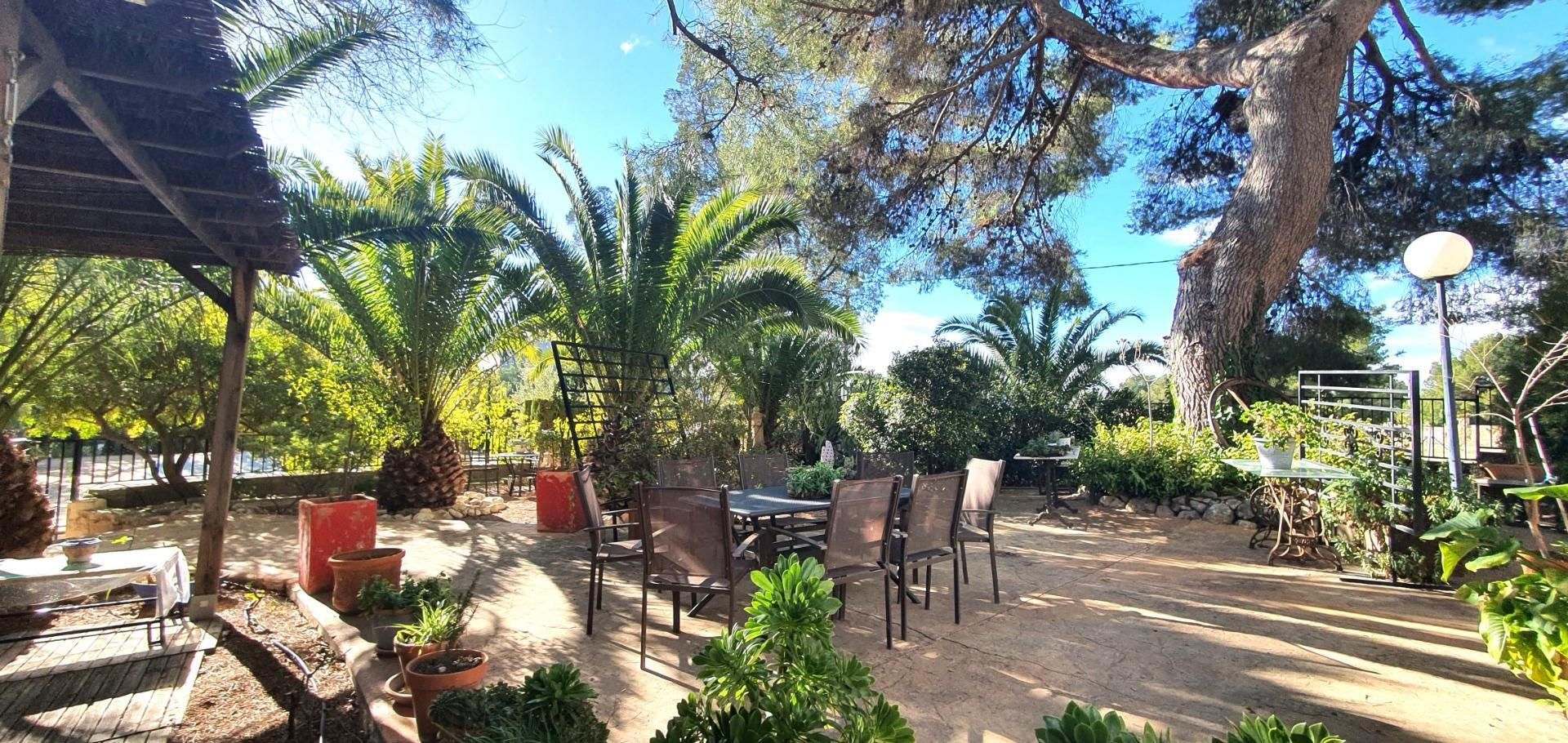 Edificios-Venta-Petrer-1720266-Foto-13