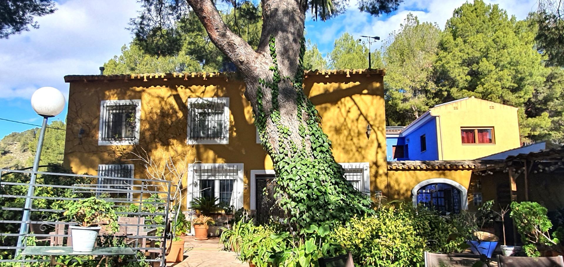 Edificios-Venta-Petrer-1720266-Foto-12