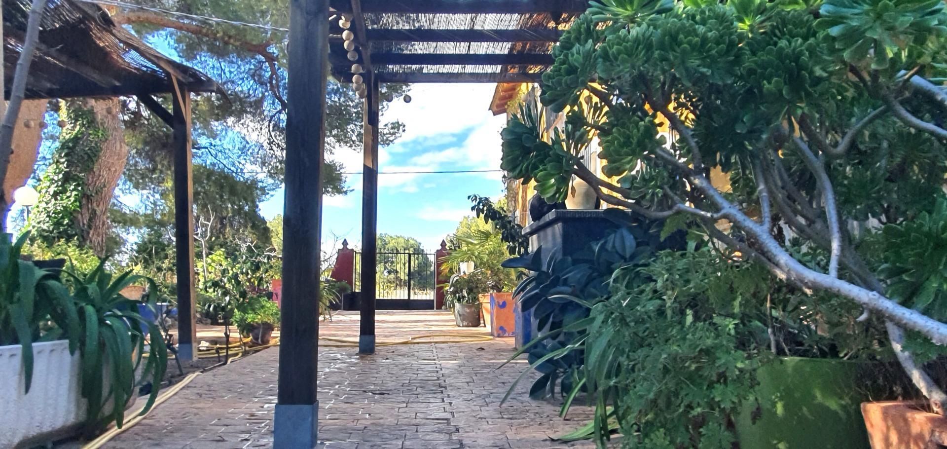 Edificios-Venta-Petrer-1720266-Foto-15