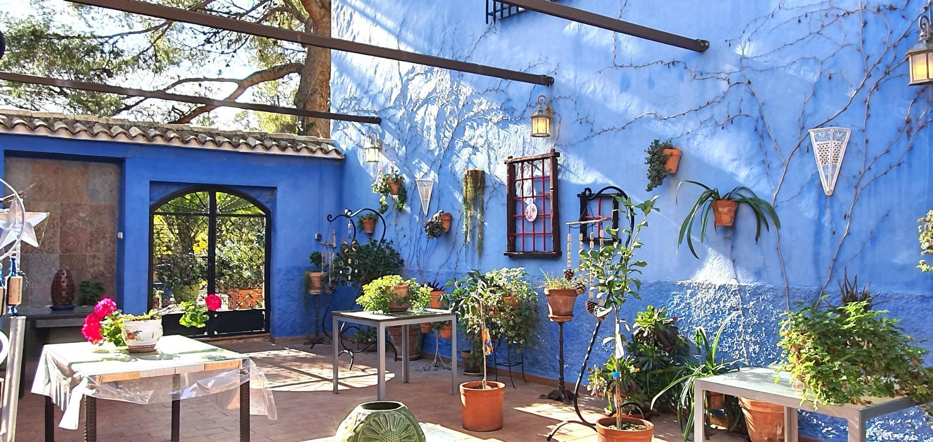 Edificios-Venta-Petrer-1720266-Foto-22