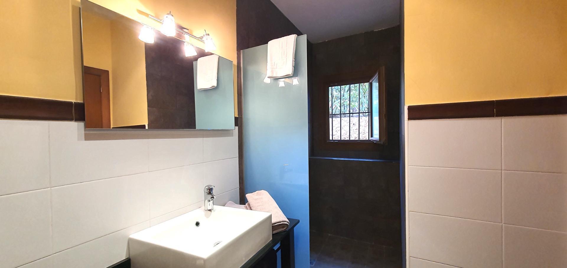Edificios-Venta-Petrer-1720266-Foto-44