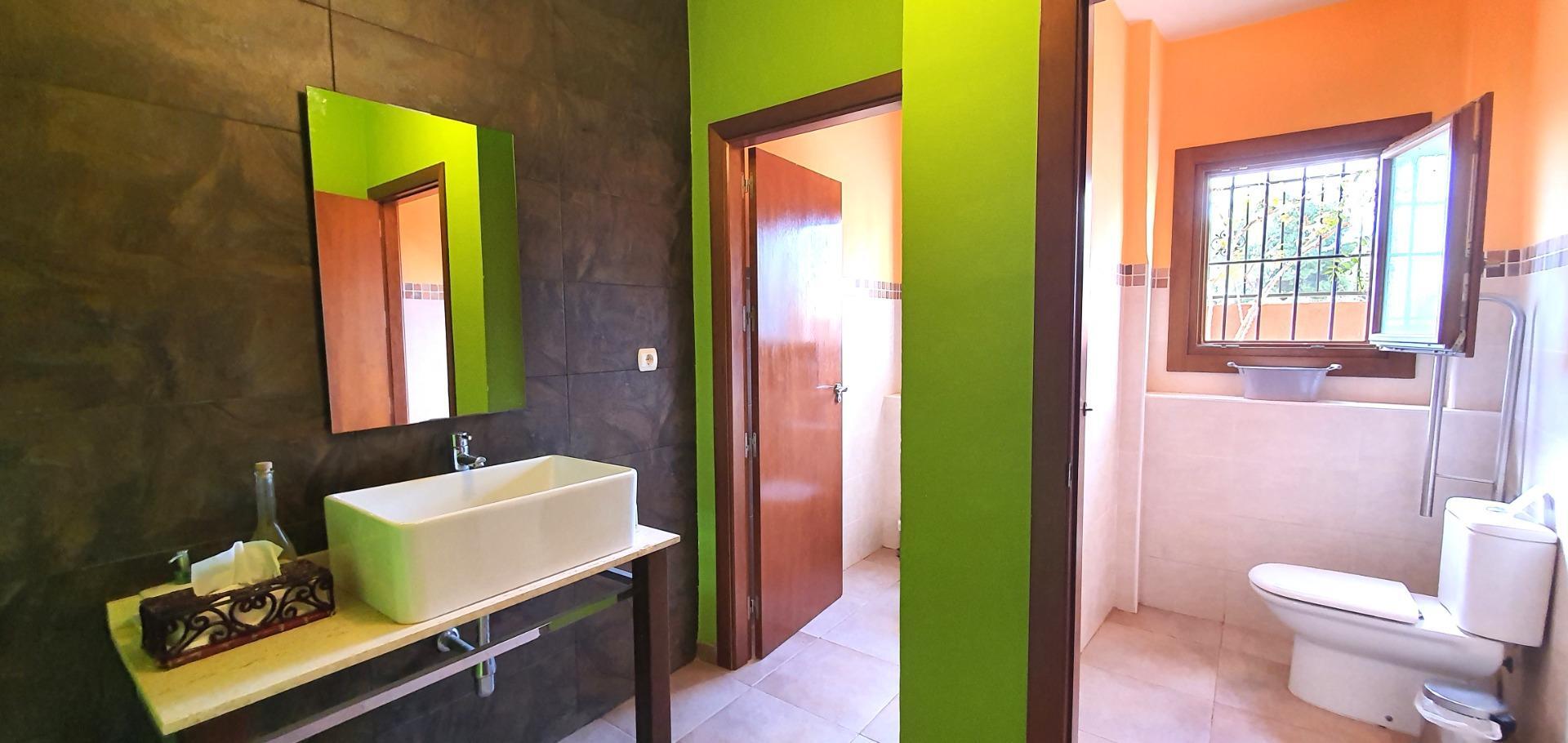 Edificios-Venta-Petrer-1720266-Foto-46