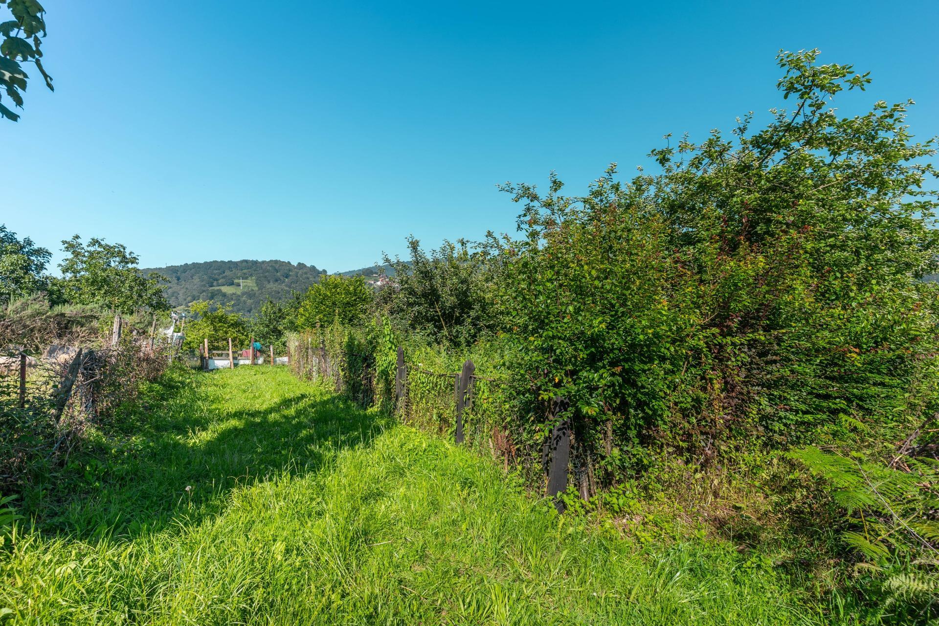 Casas o chalets-Venta-Langreo-1828733-Foto-31