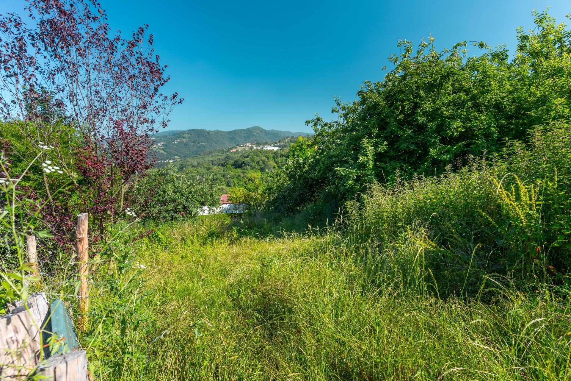 Casas o chalets-Venta-Langreo-1828733-Foto-39