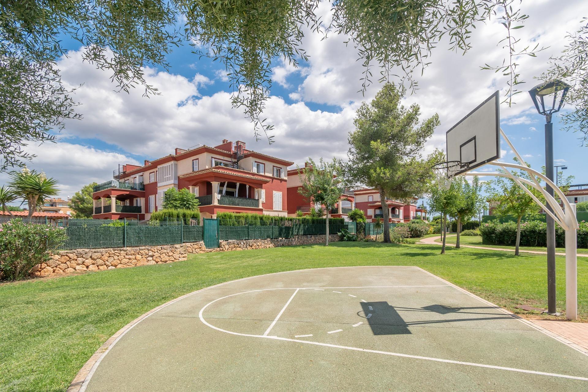 Pisos-Venta-Palma de Mallorca-1828345-Foto-40