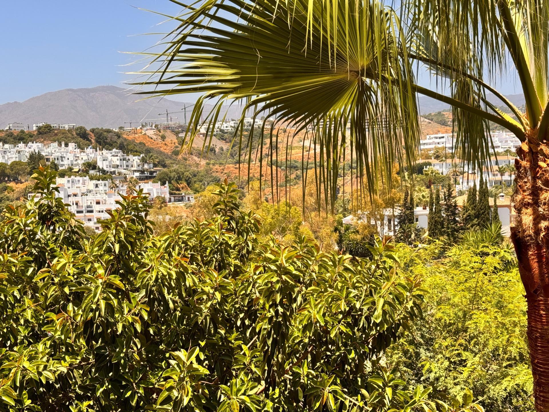 Pisos-Venta-Estepona-1828751-Foto-17