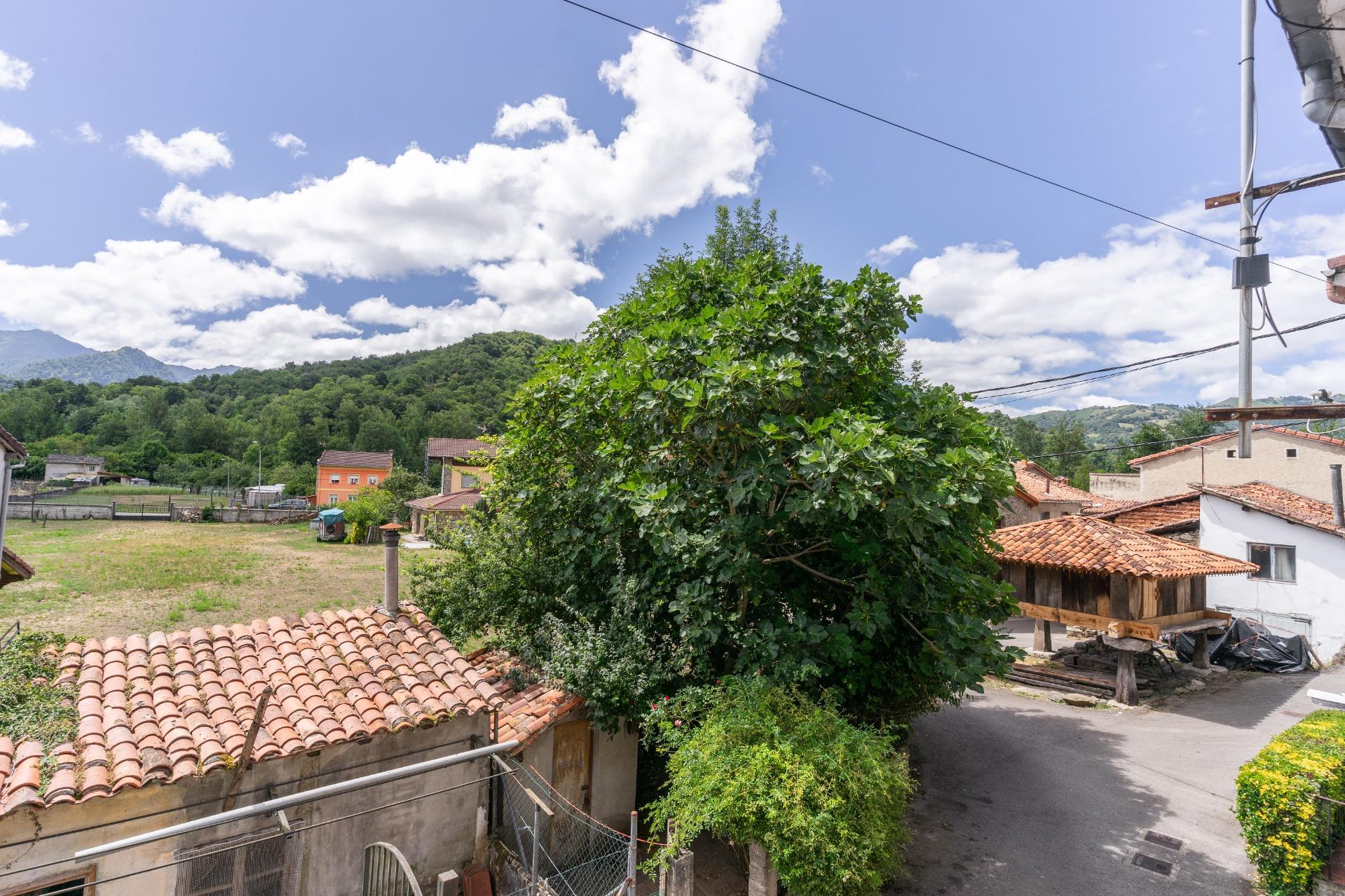 Casas o chalets-Venta-Laviana-1828754-Foto-32