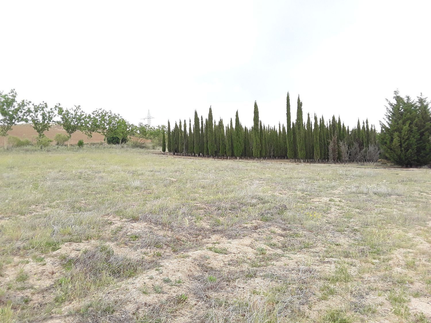Fincas y solares-Venta-Moraleja de Enmedio-826791-Foto-8