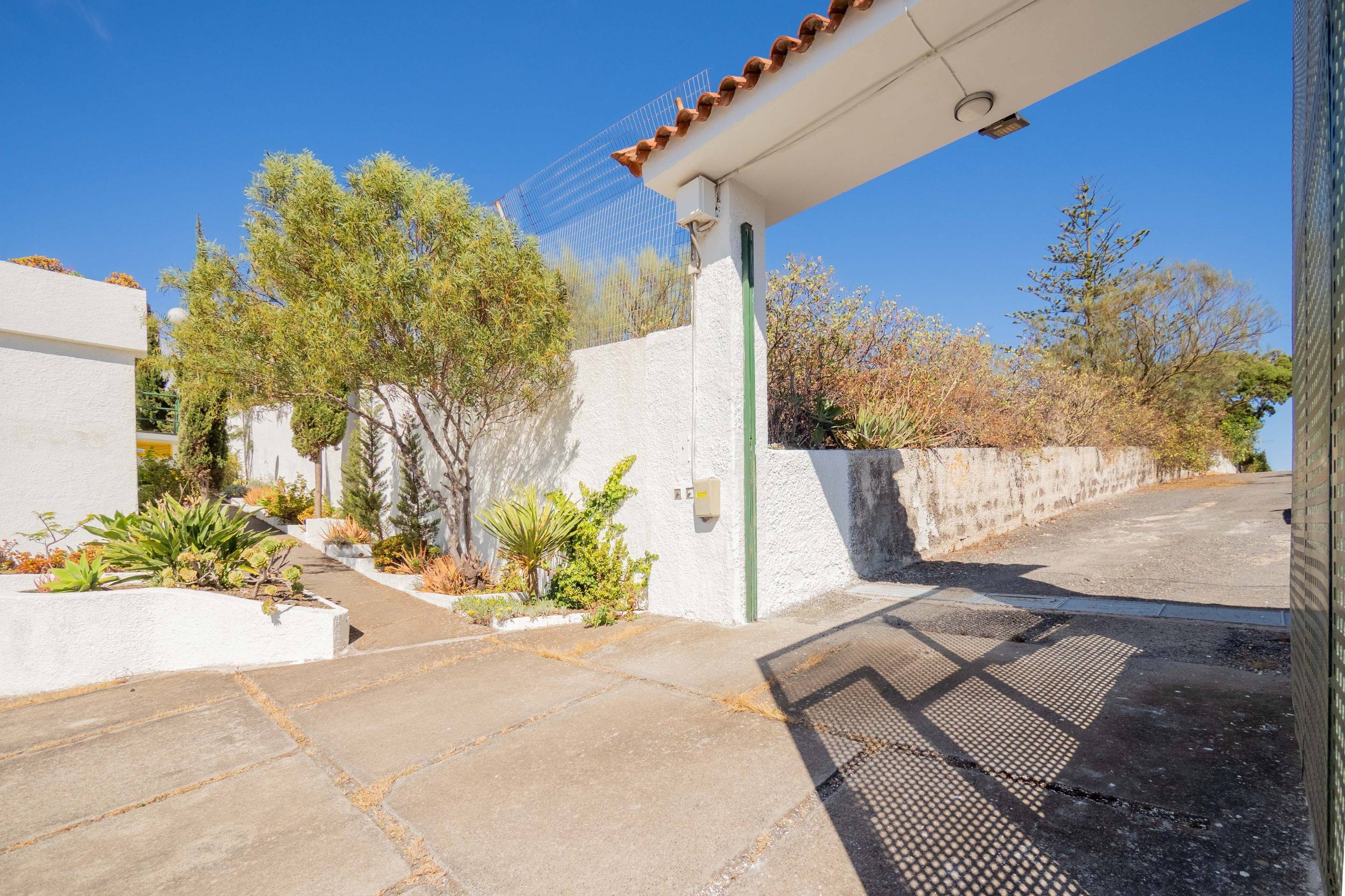 Casas o chalets-Alquiler-Santa BrÃ­gida-1768121-Foto-22